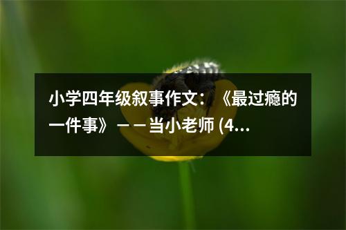 小學四年級敘事作文：《最過癮的一件事》－－當小老師 (450字)