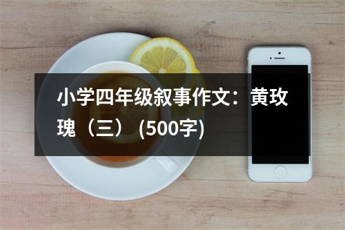 小學(xué)四年級敘事作文：黃玫瑰（三） (500字)