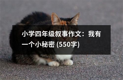 小學(xué)四年級敘事作文：我有一個小秘密 (550字)