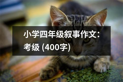 小學(xué)四年級敘事作文：考級 (400字)