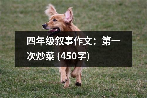四年級敘事作文：第一次炒菜 (450字)
