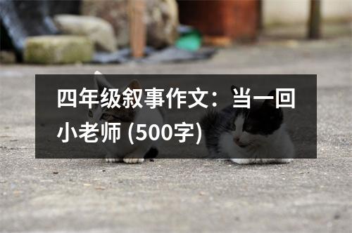 四年級敘事作文：當(dāng)一回小老師 (500字)