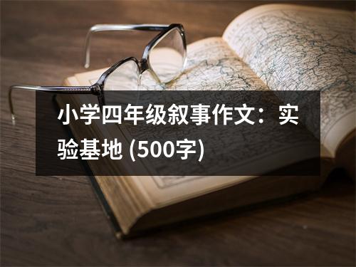 小學(xué)四年級(jí)敘事作文：實(shí)驗(yàn)基地 (500字)