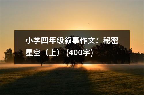 小學(xué)四年級(jí)敘事作文：秘密星空（上） (400字)