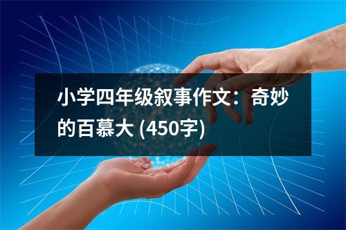 小學(xué)四年級(jí)敘事作文：奇妙的百慕大 (450字)
