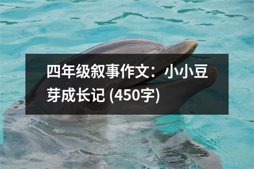 四年級(jí)敘事作文：小小豆芽成長(zhǎng)記 (450字)