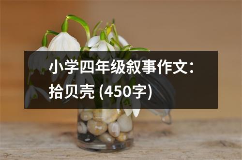 小學(xué)四年級(jí)敘事作文：拾貝殼 (450字)
