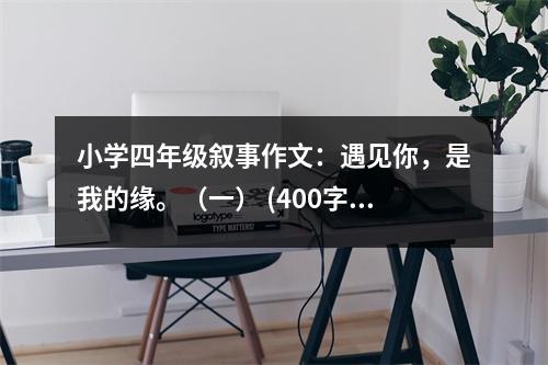 小學(xué)四年級(jí)敘事作文：遇見(jiàn)你，是我的緣。（一） (400字)