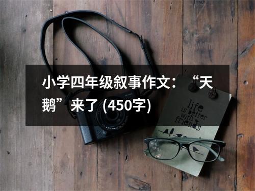 小學(xué)四年級(jí)敘事作文：“天鵝”來(lái)了 (450字)