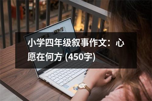 小學(xué)四年級(jí)敘事作文：心愿在何方 (450字)