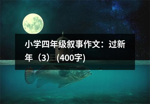 小學(xué)四年級(jí)敘事作文：過(guò)新年（3） (400字)