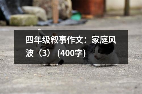 四年級敘事作文：家庭風波（3） (400字)