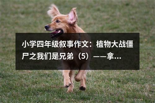 小學(xué)四年級敘事作文：植物大戰(zhàn)僵尸之我們是兄弟（5）——拿報紙的普通僵尸 (550字)