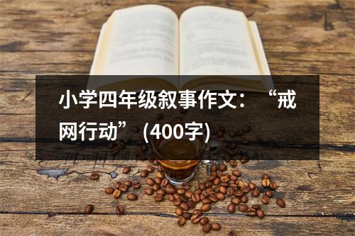 小學(xué)四年級(jí)敘事作文：“戒網(wǎng)行動(dòng)” (400字)