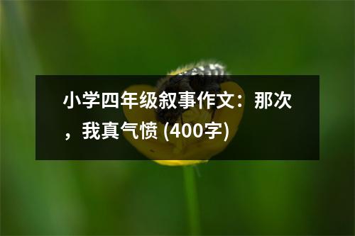 小學(xué)四年級敘事作文：那次，我真氣憤 (400字)