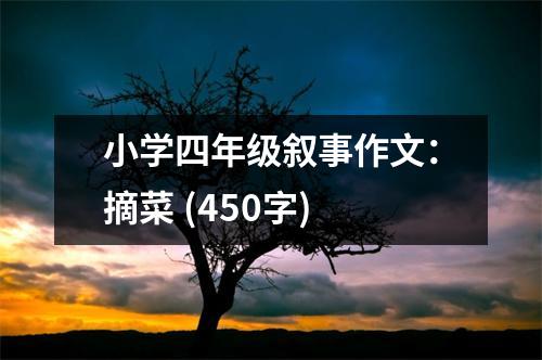 小學四年級敘事作文：摘菜 (450字)