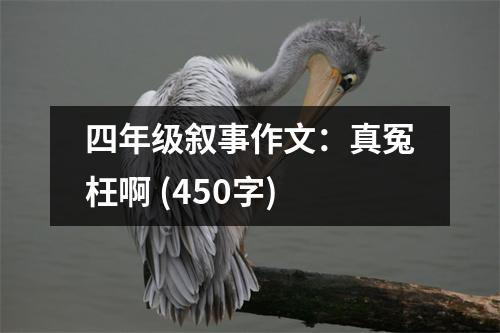 四年級敘事作文：真冤枉啊 (450字)