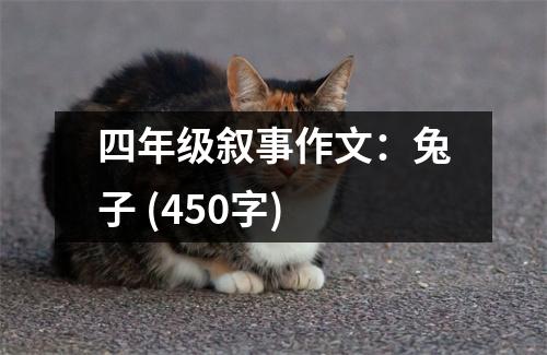 四年級(jí)敘事作文：兔子 (450字)