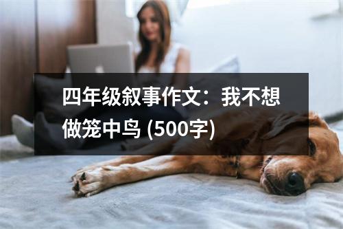四年級(jí)敘事作文：我不想做籠中鳥(niǎo) (500字)