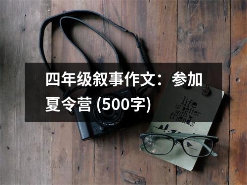 四年級(jí)敘事作文：參加夏令營(yíng) (500字)