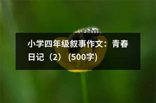 小學(xué)四年級(jí)敘事作文：青春日記（2） (500字)