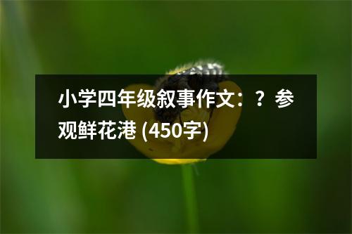 小學(xué)四年級(jí)敘事作文：？參觀鮮花港 (450字)