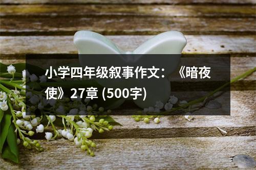 小學(xué)四年級(jí)敘事作文：《暗夜使》27章 (500字)