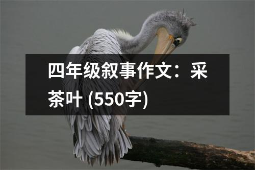 四年級(jí)敘事作文：采茶葉 (550字)