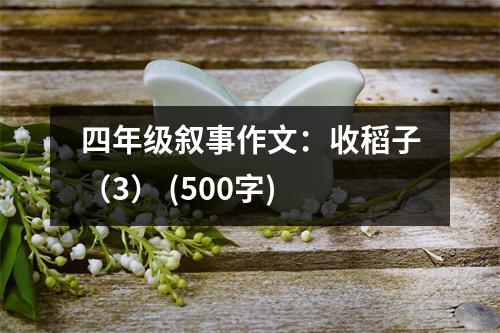 四年級(jí)敘事作文：收稻子（3） (500字)