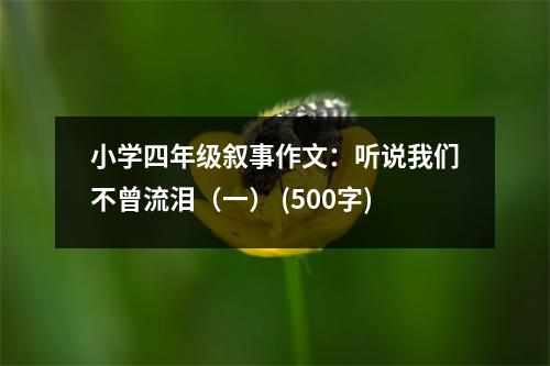 小學(xué)四年級(jí)敘事作文：聽說我們不曾流淚（一） (500字)