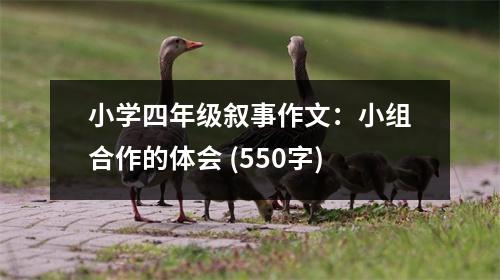 小學(xué)四年級敘事作文：小組合作的體會 (550字)