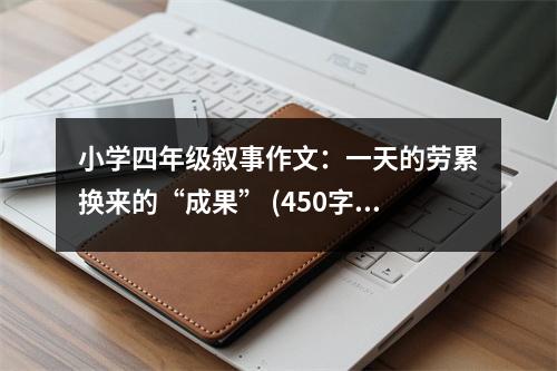 小學(xué)四年級敘事作文：一天的勞累換來的“成果” (450字)