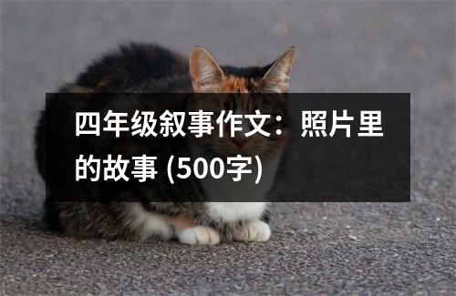 四年級敘事作文：照片里的故事 (500字)