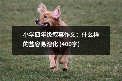 小學(xué)四年級(jí)敘事作文：什么樣的鹽容易溶化 (400字)