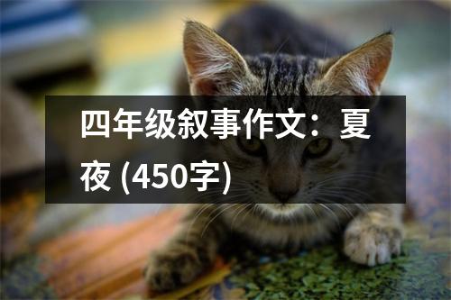 四年級敘事作文：夏夜 (450字)