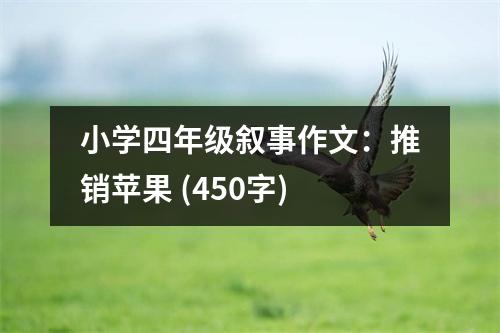 小學(xué)四年級敘事作文：推銷蘋果 (450字)