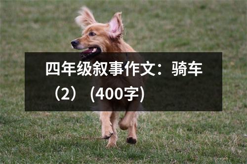 四年級敘事作文：騎車（2） (400字)