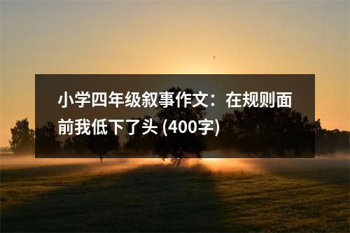 小學(xué)四年級敘事作文：在規(guī)則面前我低下了頭 (400字)