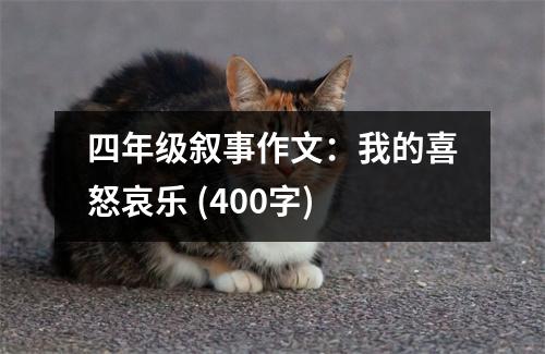 四年級敘事作文：我的喜怒哀樂 (400字)