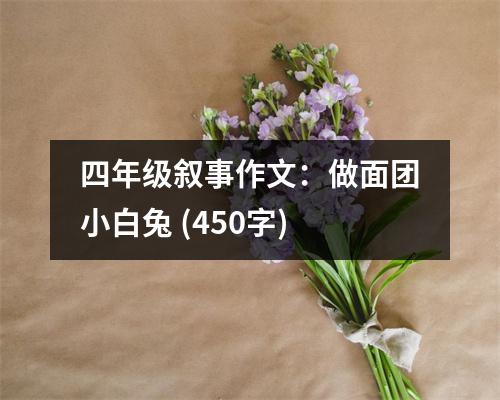 四年級(jí)敘事作文：做面團(tuán)小白兔 (450字)