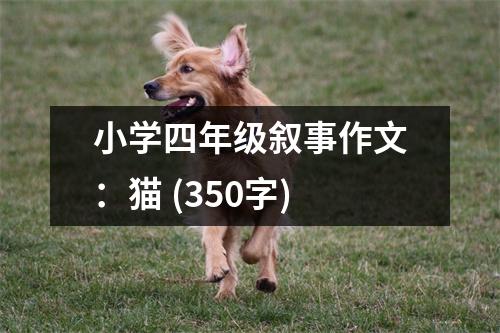 小學(xué)四年級(jí)敘事作文：貓 (350字)