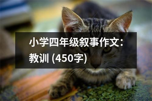小學(xué)四年級敘事作文：教訓(xùn) (450字)