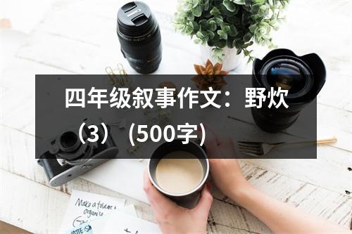 四年級敘事作文：野炊（3） (500字)