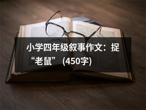 小學四年級敘事作文：捉“老鼠” (450字)
