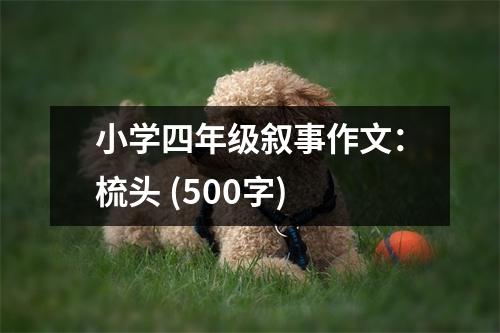 小學(xué)四年級(jí)敘事作文：梳頭 (500字)