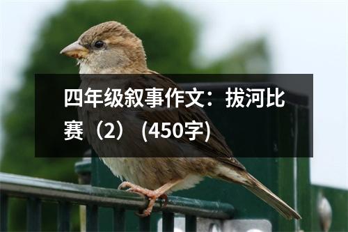 四年級(jí)敘事作文：拔河比賽（2） (450字)
