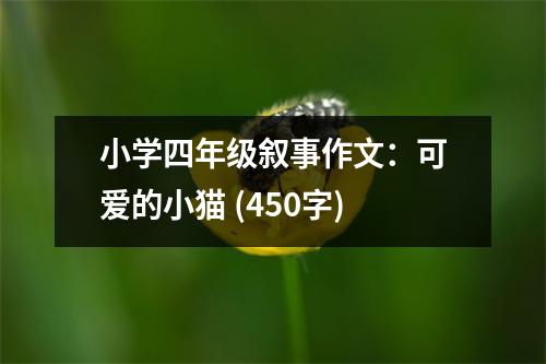 小學(xué)四年級(jí)敘事作文：可愛的小貓 (450字)