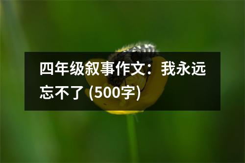 四年級敘事作文：我永遠忘不了 (500字)