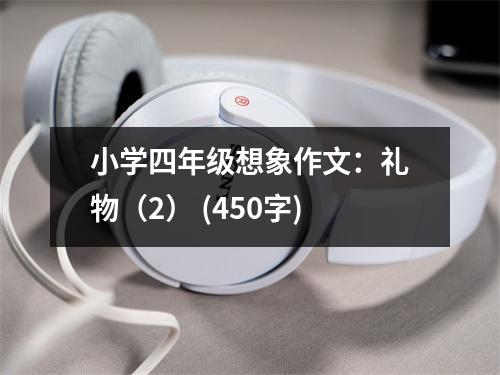 小學四年級想象作文：禮物（2） (450字)