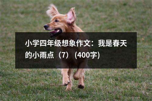 小學四年級想象作文：我是春天的小雨點（7） (400字)